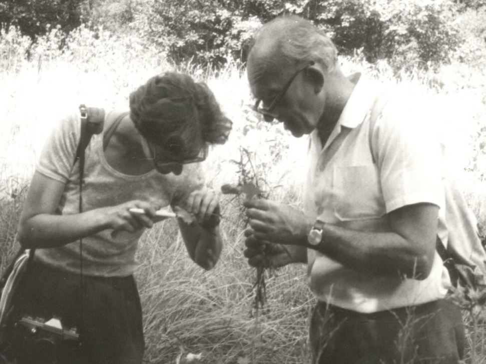 Csapody István_2 (002).JPG